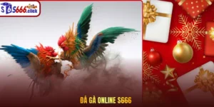 Đá gà online S666