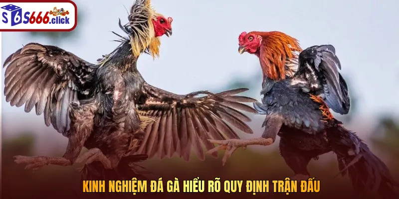Lắng nghe nhận định từ chuyên gia là lưu ý vàng cho bạn