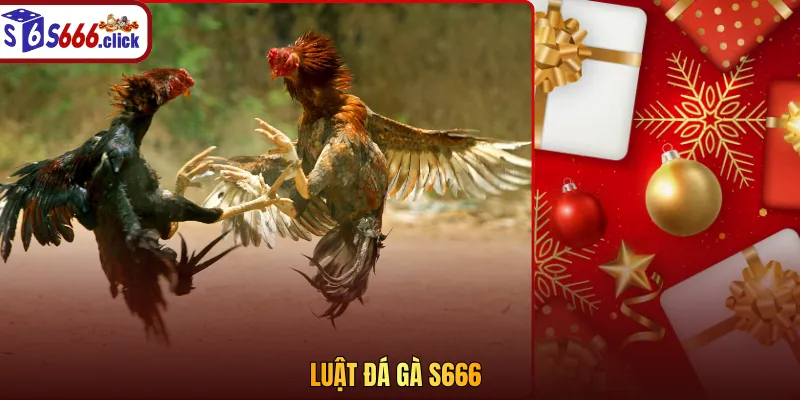 Luật đá gà S666